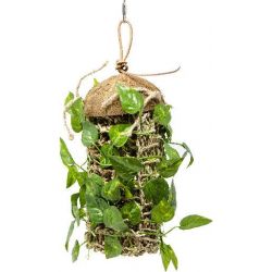REP707 COCONUT CLIMBER REPTILE 28*9*15.5CM